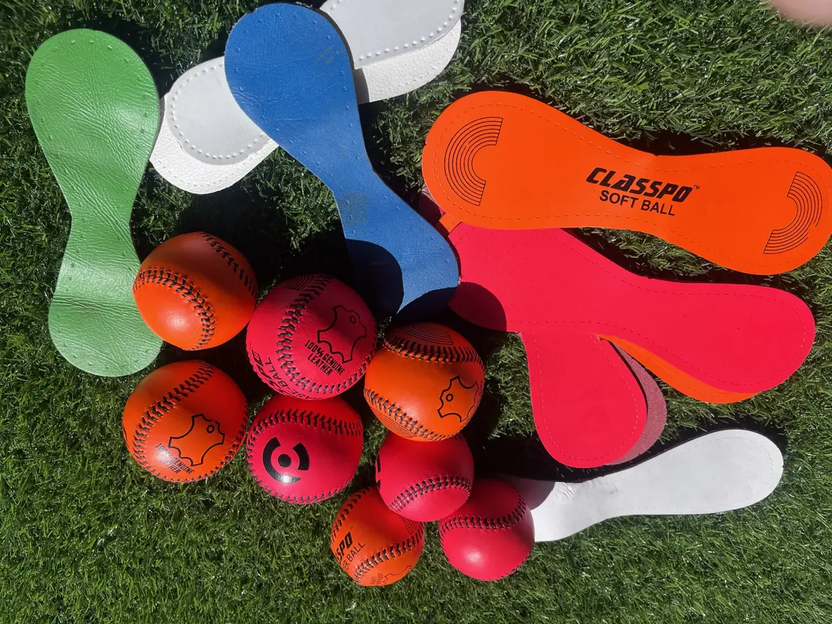 Gaelic sports balls including match and training sliotars